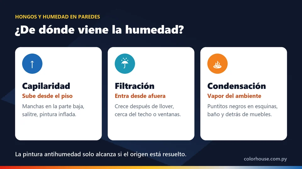 Infografía: los tres orígenes de la humedad en paredes, capilaridad, filtración y condensación
