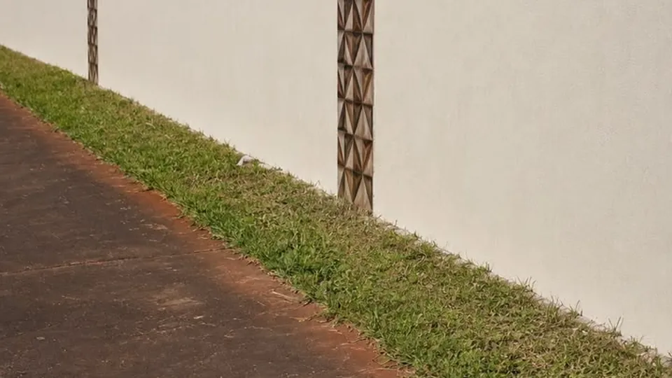 Muro perimetral texturado con la tierra colorada del camino al pie, foto publicada por una clienta en Google